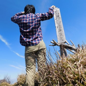 テキストテキストテキスト